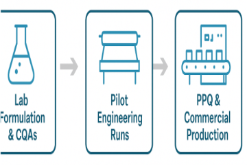Lab to Scale: Pilot Runs, PPQ, and Commercial Readiness for Buccal Films